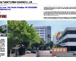 Fumei Furniture