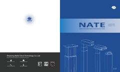 NATE — Shaoxing Naite Drive
